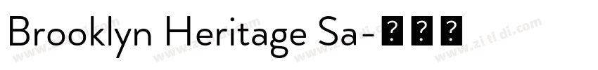Brooklyn Heritage Sa字体转换
